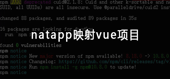 natapp映射本地vue项目报错